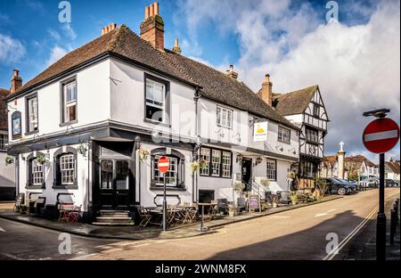 The Swan, una vecchia casa pubblica inglese e hotel nella citta' mercato del West Sussex di Midhurst. Foto Stock