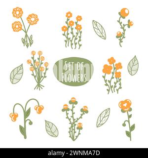Set di fiori d'arancia con foglie d'annata. Collezione primavera ed estate. Varietà di fiori d'arancia Illustrazione Vettoriale