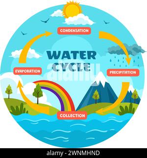 Illustrazione vettoriale del ciclo dell'acqua con evaporazione, condensazione, precipitazione per la raccolta in ambiente naturale terrestre su sfondo di cartone animato piatto Illustrazione Vettoriale