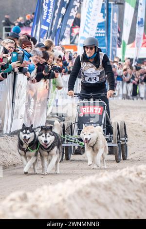 Baltic Lights 2024 auf a Heringsdorf auf der Insel Usedom Felix Klare, SchauspielerBaltic Lights 2024 auf a Heringsdorf auf der Insel Usedom Felix Klare, Schauspieler, Heringsdorf Mecklenburg-Vorpommern Deutschland Strand *** Baltic Lights 2024 a Heringsdorf sull'isola di Usedom Felix Klare, attore Baltic Lights 2024 a Heringsdorf sull'isola di Usedom Felix Klare, attore, Heringsdorf Mecklenburg-Vorpommern Germany Beach Foto Stock