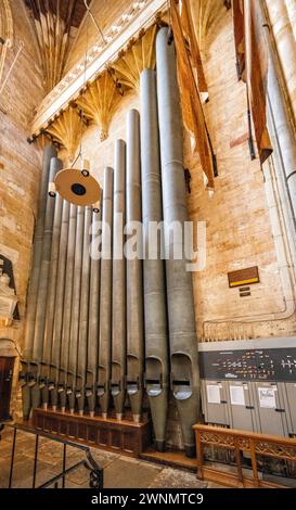 Il grande modello da 32 piedi Le canne dell'organo della Cattedrale di Exeter si trovano proprio all'interno del transetto sud. Exeter, Devon, Inghilterra, Regno Unito. Foto Stock