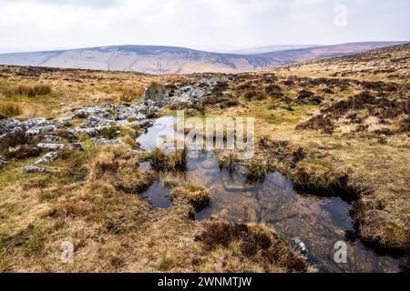 Il West Webbern, un piccolo torrente, scorre attraverso parte dell'insediamento dell'età del bronzo di Grimspound, Dartmoor National Park, Devon, Inghilterra, Regno Unito. Foto Stock