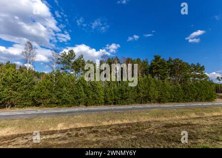 Serbatoio d'acqua a Poraj in primavera su un lago in Polonia Foto Stock