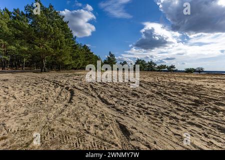 Serbatoio d'acqua a Poraj in primavera su un lago in Polonia Foto Stock