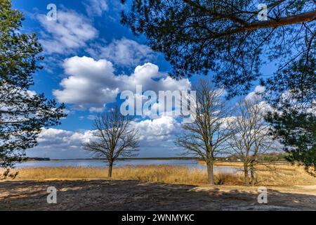 Serbatoio d'acqua a Poraj in primavera su un lago in Polonia Foto Stock