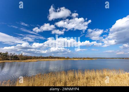 Serbatoio d'acqua a Poraj in primavera su un lago in Polonia Foto Stock