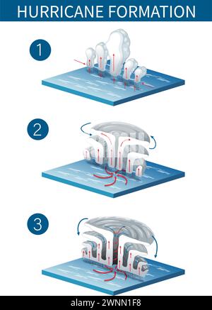 Illustrazione che raffigura il processo di formazione dell'uragano Illustrazione Vettoriale