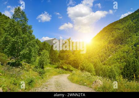 Alba in splendide montagne coperte di foresta. Foto Stock