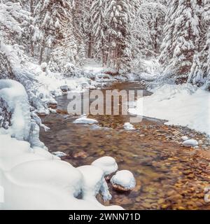 neve invernale lungo il torrente perduto vicino al lago di cigno, montana Foto Stock