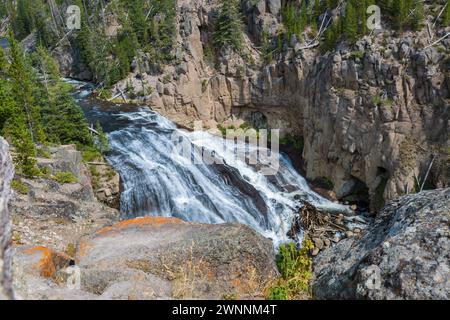 Tronchi e detriti di alberi sul fondo delle Gibbon Falls sul fiume Gibbon nel parco nazionale di Yellowstone, Wyoming Foto Stock