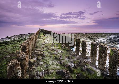 Costa con frangiflutti e pietre di basalto durante le tempeste al villaggio di Westkappelle su Walcheren, nella provincia di Zeeland, Paesi Bassi Foto Stock