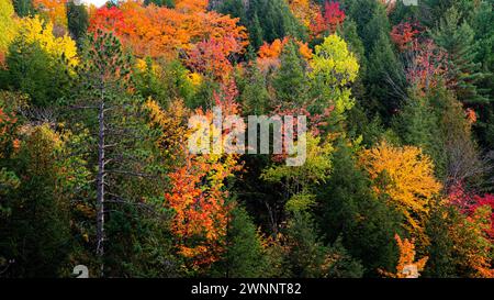 Dorwin Chute, Canada: Ottobre 25 2021: Colorato scenario autunnale di Dorwin Chute in Quebec Foto Stock