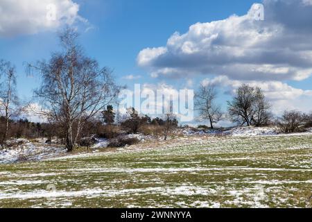 Paesaggio montuoso boemo e moravo, vista panoramica invernale, paesaggio innevato vicino alla città di Velke Mezirici, repubblica ceca Foto Stock