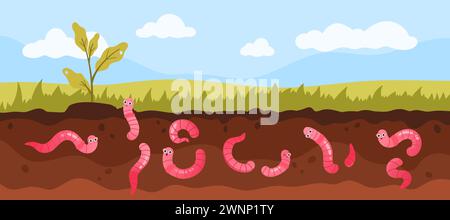 Diagramma degli strati di terreno con erba verde e vermi sottoterra. Simpatici e utili personaggi di lombrichi che strisciano nel terreno per scavare sporcizia e humus, aiutano le piante a crescere nell'illustrazione vettoriale dei cartoni animati dei campi agricoli Illustrazione Vettoriale