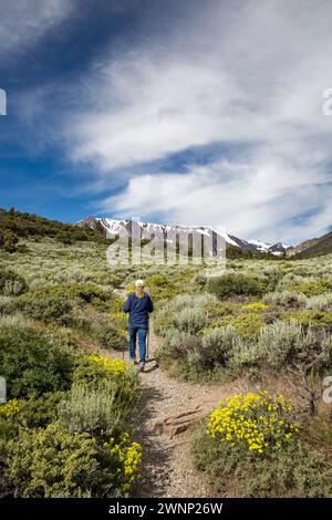 Escursioni a piedi il Parker Lake Trail nella natura selvaggia Ansel Adams. Foto Stock