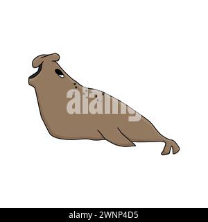 Sigillo elefante. Cartoni animati vettoriali disegnati a mano isolano un animale carino in Antartide. Illustrazione polare carina per bambini su sfondo bianco Illustrazione Vettoriale