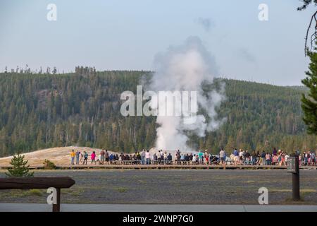 I visitatori del parco osservano l'eruzione del geyser a cono Old Faithful nel parco nazionale di Yellowstone Foto Stock