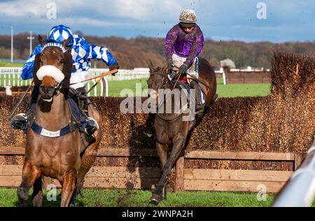 Alcuni Scope e Gavin Sheehan finiscono 2° nel Grimthorpe handicap Chase all'Ippodromo di Doncaster, 02/03/2024. Crediti JTW equine Images / Alamy. Foto Stock