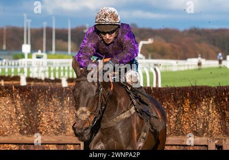 Alcuni Scope e Gavin Sheehan finiscono 2° nel Grimthorpe handicap Chase all'Ippodromo di Doncaster, 02/03/2024. Crediti JTW equine Images / Alamy. Foto Stock