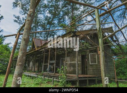 Vecchia casa rustica con un'atmosfera stravagante, circondata da una lussureggiante foresta. perfetto per illustrare fiabe, storie di fantasia o copertine di libri per bambini. Foto Stock