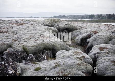 Lastre Tectoniche visibili nel Parco Nazionale di Thingvellir, sito Patrimonio dell'Umanità dell'UNESCO, Islanda nel giugno 2023 Foto Stock