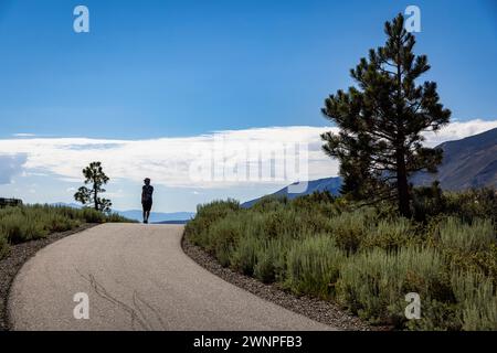 Il percorso Mammoth Lakes Town Loop si snoda attraverso prati e alti pini, offrendo vedute delle Sierras orientali. Foto Stock