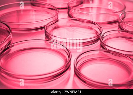 Capsule di Petri con liquido sul tavolo, tonificate in rosso. Vetreria da laboratorio Foto Stock