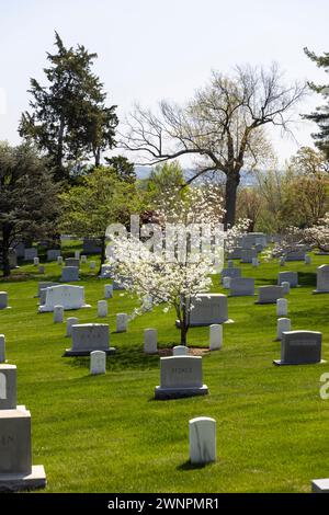 Il cimitero nazionale di Arlington, in particolare intorno alla Tomba del Milite Ignoto, si trovano colline verdi ondulate ricoperte da oltre 9600 specie di alberi. Foto Stock