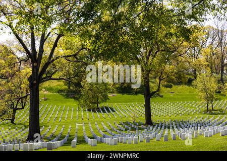 Il cimitero nazionale di Arlington, in particolare intorno alla Tomba del Milite Ignoto, si trovano colline verdi ondulate ricoperte da oltre 9600 specie di alberi. Foto Stock