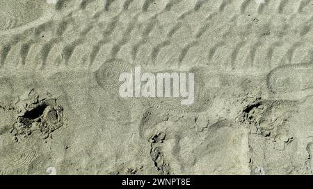 La scarpa viene stampata su una pista di gomme sulla sabbia da spiaggia Foto Stock