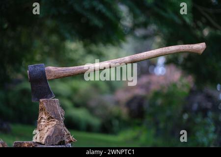 Una vecchia ascia con la testa bloccata in un pezzo di legna da ardere Foto Stock