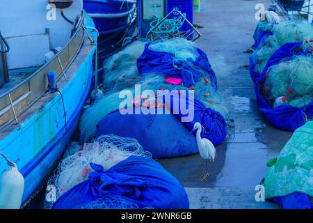 Veduta di un piccolo torrente tra i pescherecci nel porto di Jaffa, ora parte di Tel-Aviv-Yafo, Israele Foto Stock