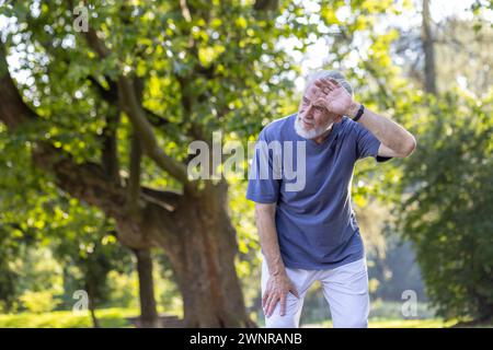Uomo anziano dai capelli grigi che fa sport e jogging nel parco, in piedi e spazza il sudore dalla fronte, riposando stanco. Foto Stock