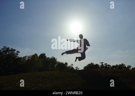 Sportiva di Taekwondo che pratica il calcio da sola Foto Stock