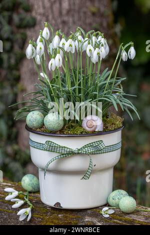 gocce di neve in vaso di smalto vintage in giardino Foto Stock