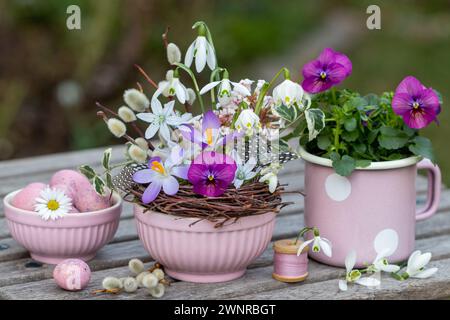 floreali con fiori primaverili rosa e bianchi e uova di quaglia Foto Stock