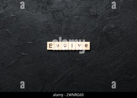 EVOLVE parola scritta su blocco di legno. EVOLVE il testo sulla tabella di cemento per il vostro desing, concetto. Foto Stock