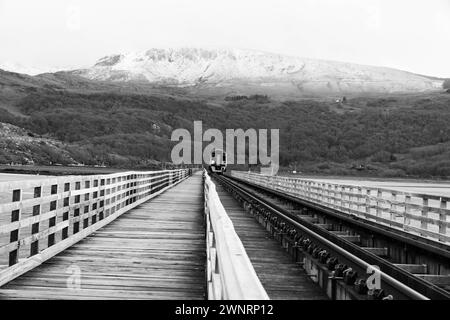 La linea Cambrian Coast a Barmouth Bridge (Pont Abermaw) che attraversa l'estuario di Afon Mawddach con montagne innevate sullo sfondo, Galles del Regno Unito. Ma Foto Stock