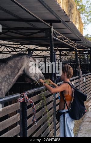 Una donna in una stalla vicino alla stalla nutre un cavallo. Foto Stock