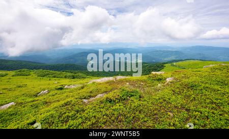 prati alpini dei carpazi polonyna liscia chiamata anche runa o rivna. erba e pietre sulla collina sotto il cielo nuvoloso in estate. visualizza in Foto Stock