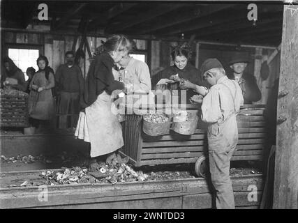 Little Lottie, una normale ostrica della Alabama Canning Co Lewis Hine (Bayou la Batre, Alabama, 1911) Foto Stock