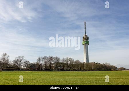 Una torre delle telecomunicazioni (Zendmast Markelo, l'edificio più alto di Overijssel) con antenne e piatti contro un cielo azzurro, circondato da alberi. Foto Stock