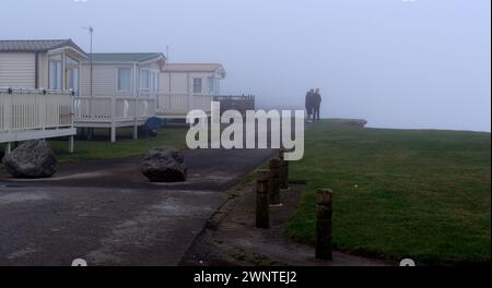 Nebbia su scogliere di argilla che erodono radiosamente sulla costa orientale dello Yorkshire, Regno Unito. Foto Stock