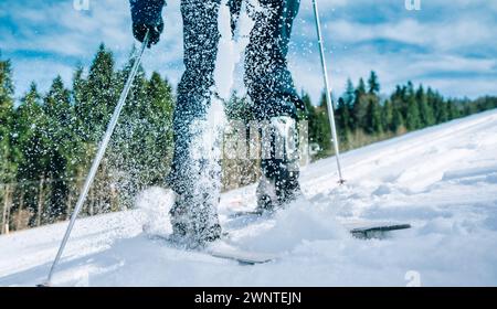 sci alpino, sciatore nelle montagne della foresta invernale, download in background Foto Stock