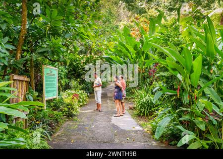 Cascata Diamond e giardino botanico Soufriere, Saint Lucia, Indie occidentali, Caraibi orientali Foto Stock