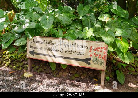 Cascata Diamond e giardino botanico Soufriere, Saint Lucia, Indie occidentali, Caraibi orientali Foto Stock
