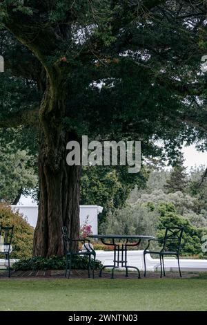 Pranzo sotto i rami di un grande albero nel cortile, circondato da alberi e cespugli. Mobili in plastica per esterni. Tavola rotonda e tre tacche verdi Foto Stock