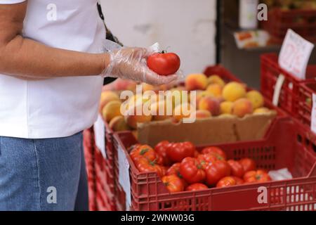 Donna in sovrappeso irriconoscibile con guanti di plastica usa e getta, sceglie pomodori rossi freschi, acquista verdure in un negozio di alimentari o in un supermercato. Concetto di shopping di generi alimentari, stile di vita sano, igiene Foto Stock