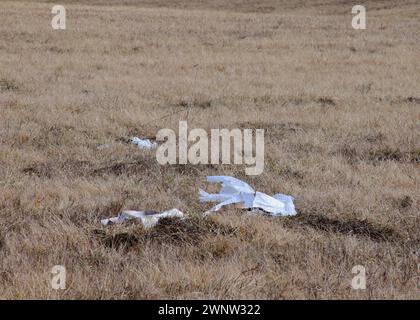 Scatola di cartone resistente agli agenti atmosferici scaricata come spazzatura in un ampio campo di gas aperto Foto Stock