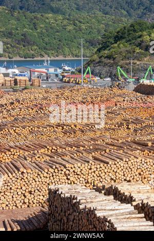 Un gran numero di alberi abbattuti tronchi di legname impilati sul molo di Picton, nuova Zelanda, pronti per l'esportazione di legname Foto Stock